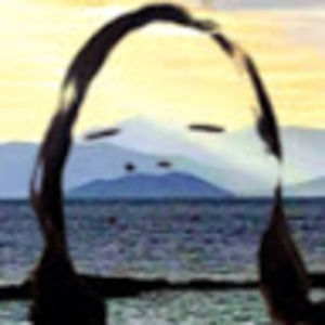 Meet your Posher, Κάθι